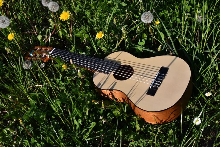 Eine Gitarre liegt in einer Löwenzahnwiese.
